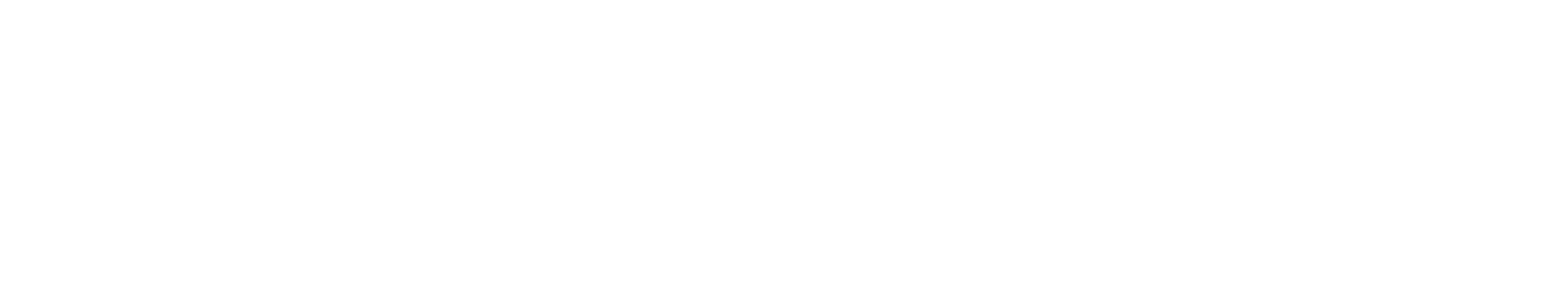 Institut Ramon Llull